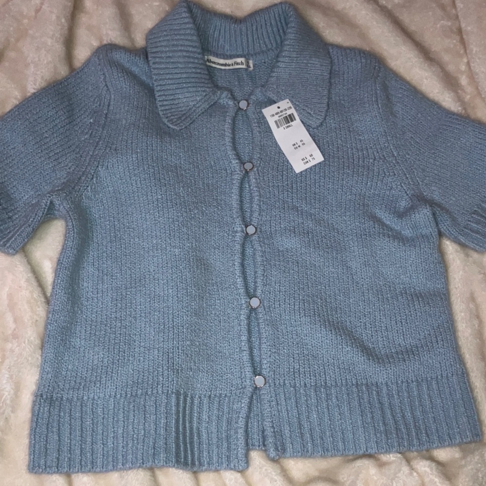 Abercrombie & Fitch Blue Button Down Shirt